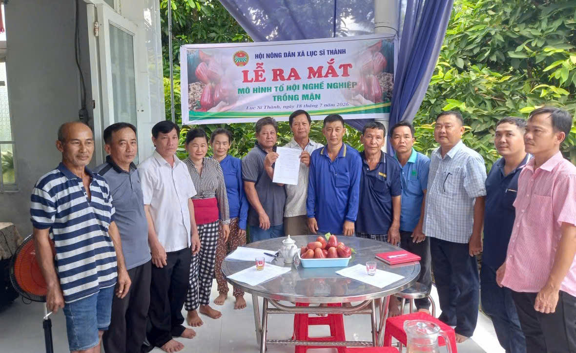 Ra mắt Tổ nghề nghiệp trồng mận ấp Mỹ Thạnh