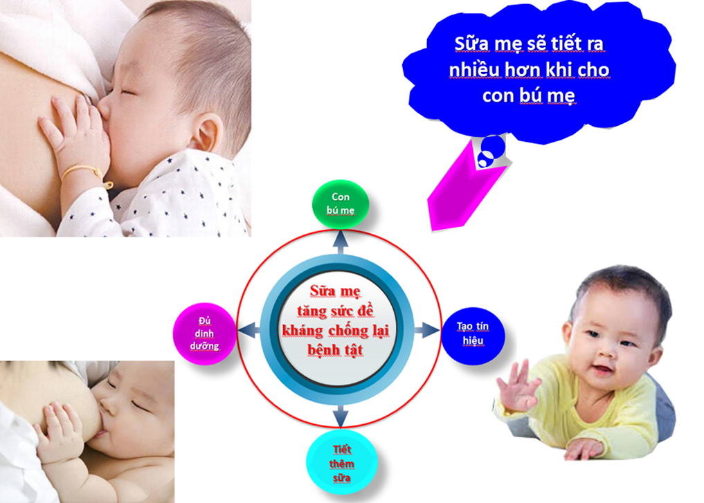 Trạm Y tế xã Lục Sĩ Thành tổ chức truyền thông hưởng ứng Tuần lễ Nuôi con bằng sữa mẹ năm 2026