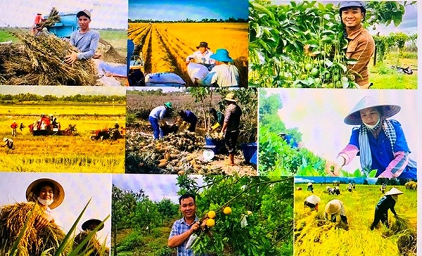 Chỉ đạo, điều hành của Chính phủ, Thủ tướng Chính phủ nổi bật tuần từ 9-15/5/2026
